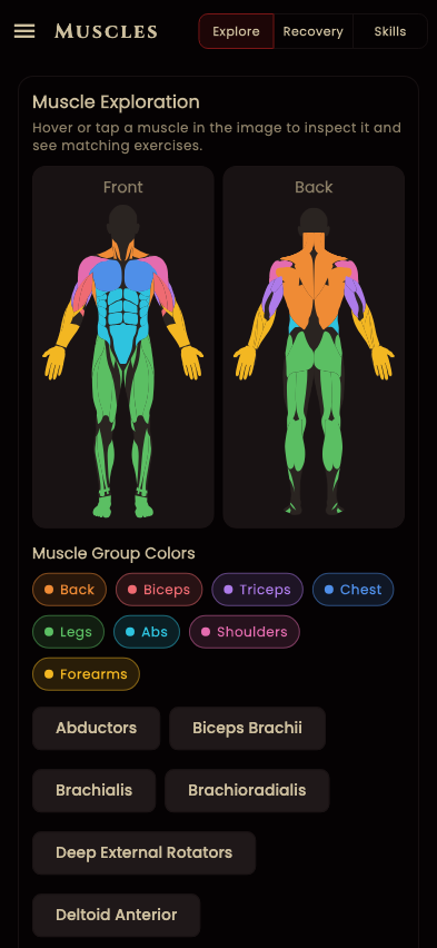 Fit Horizon anatomy view with detailed muscle targeting