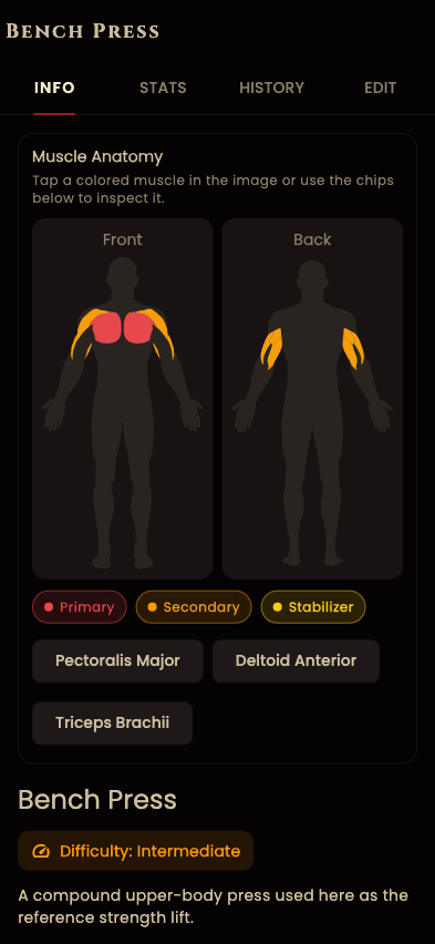 Fit Horizon exercise statistics and history screen