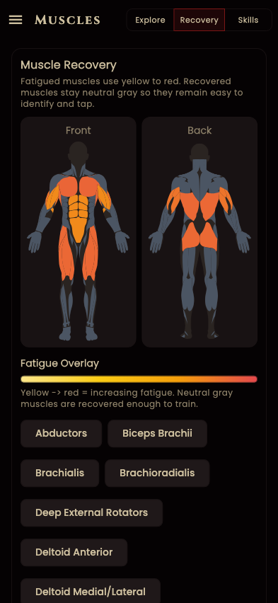 Fit Horizon muscle recovery view